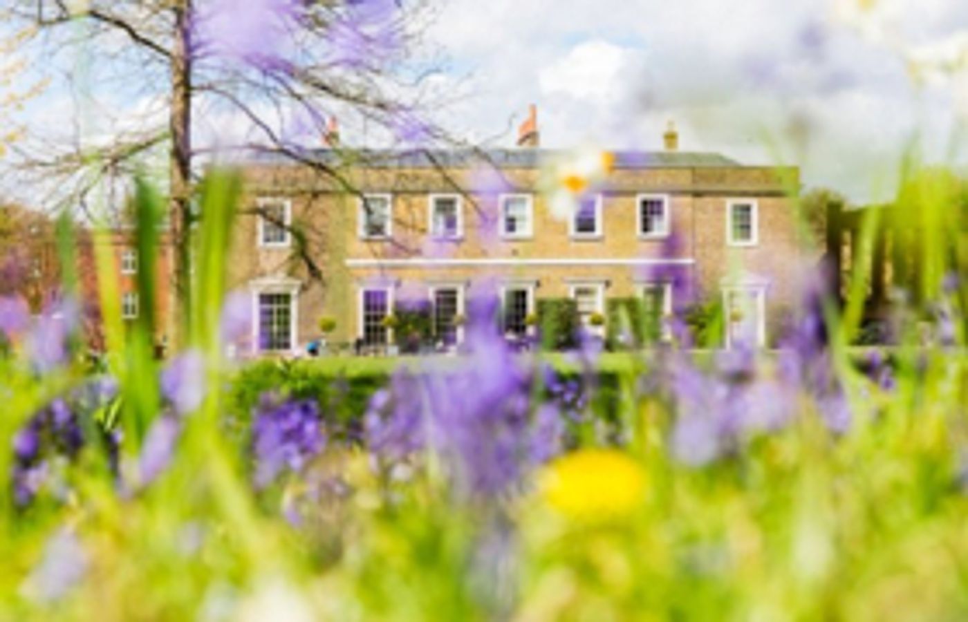 London's First Ever Film With Live Orchestra Outdoor Concert Series Announced For Fulham Palace  Image