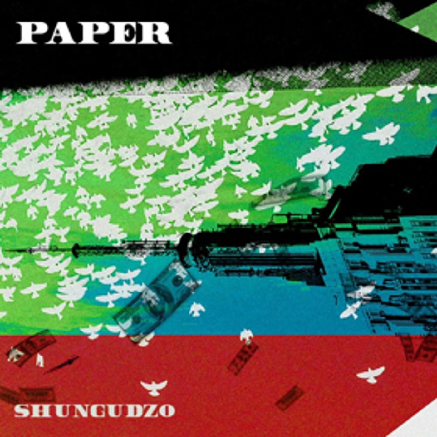 Shungudzo Releases Official Video For PAPER  Image
