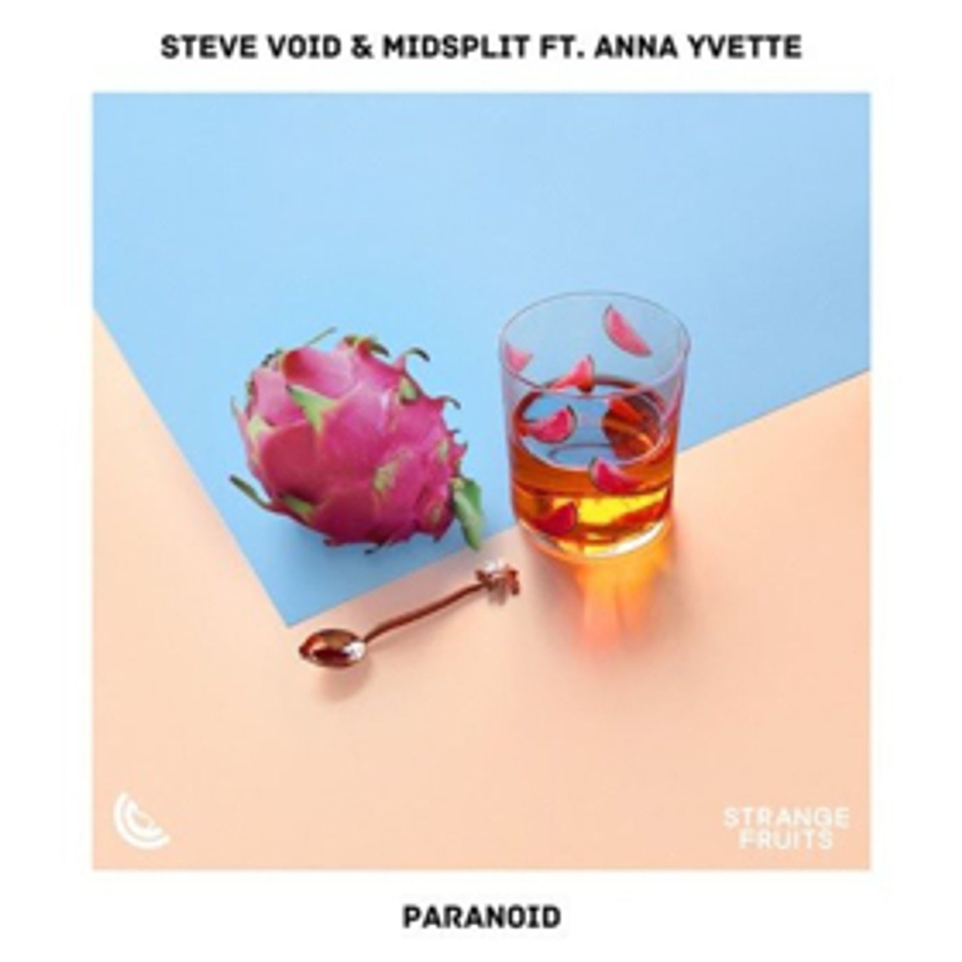 Steve Void and Midsplit Join Forces On New Single PARANOID Steve Void and Midsplit Join Forces On New Single PARANOID Image