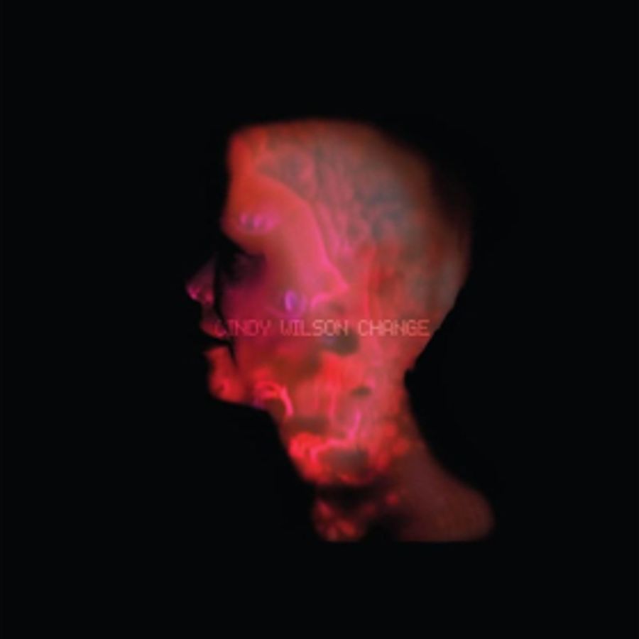Cindy Wilson (B-52s)First Solo Album Ever Out Today  Image