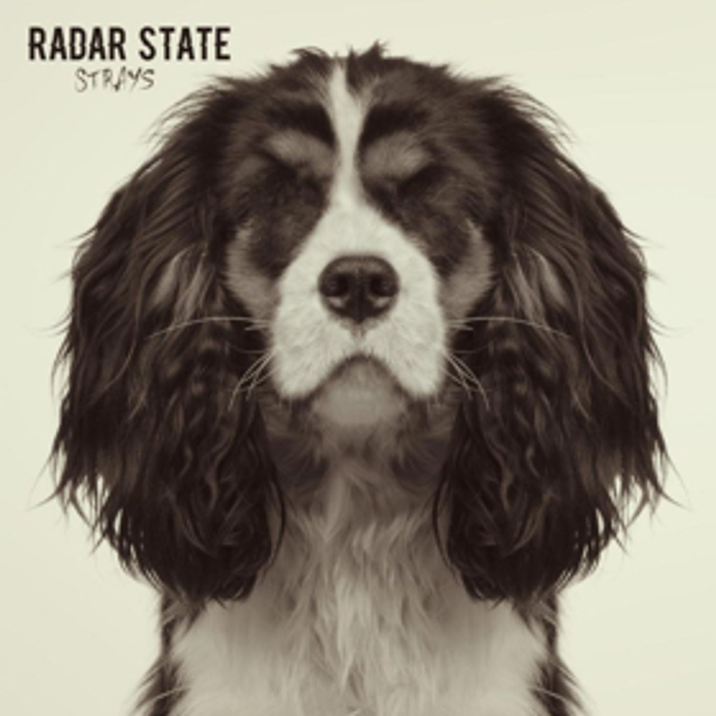 Radar State To Release New Single, 'Strays' Radar State To Release New Single, 'Strays' Image