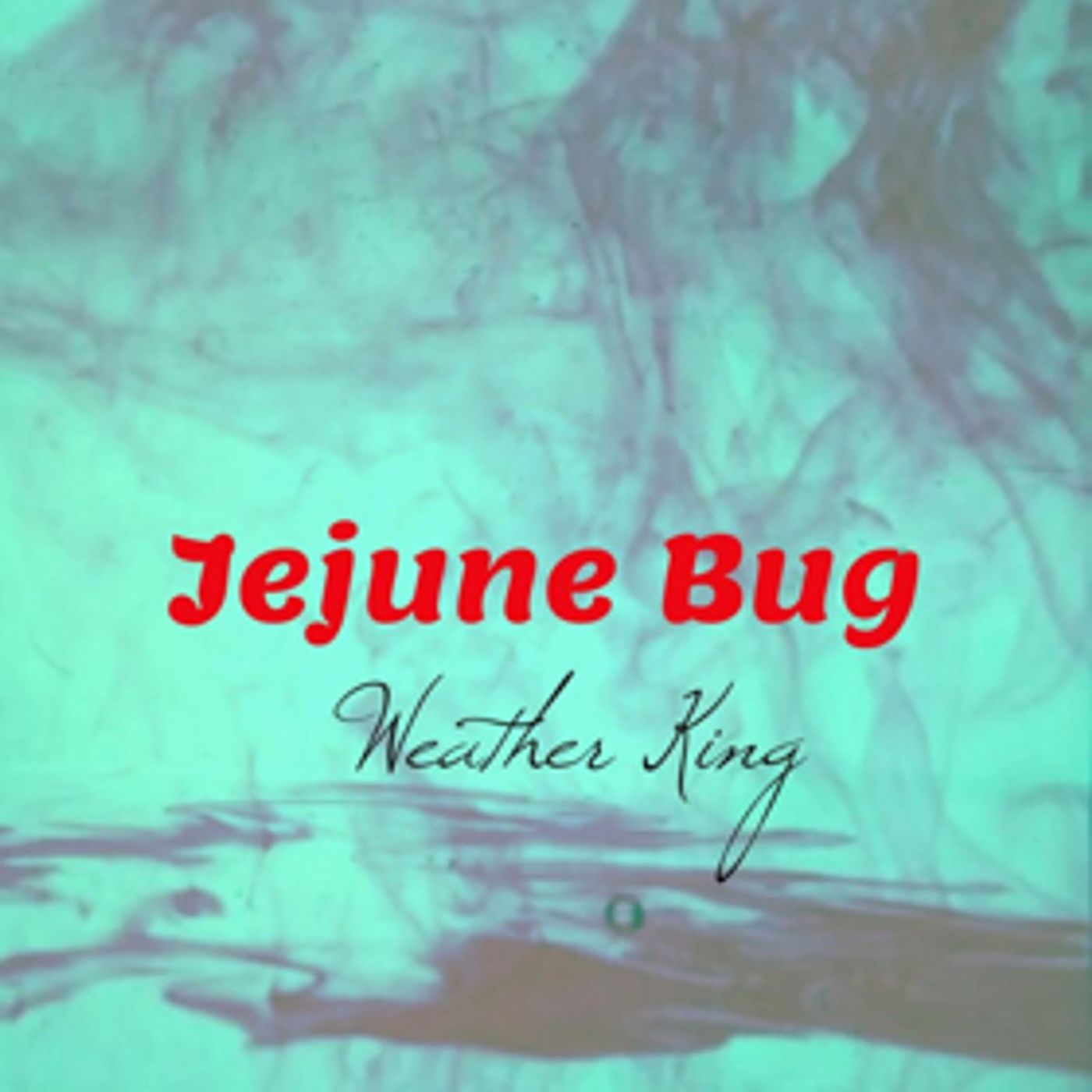 Alternative Rock Band Weather King Releases Single JEJUNE BUG Today  Image