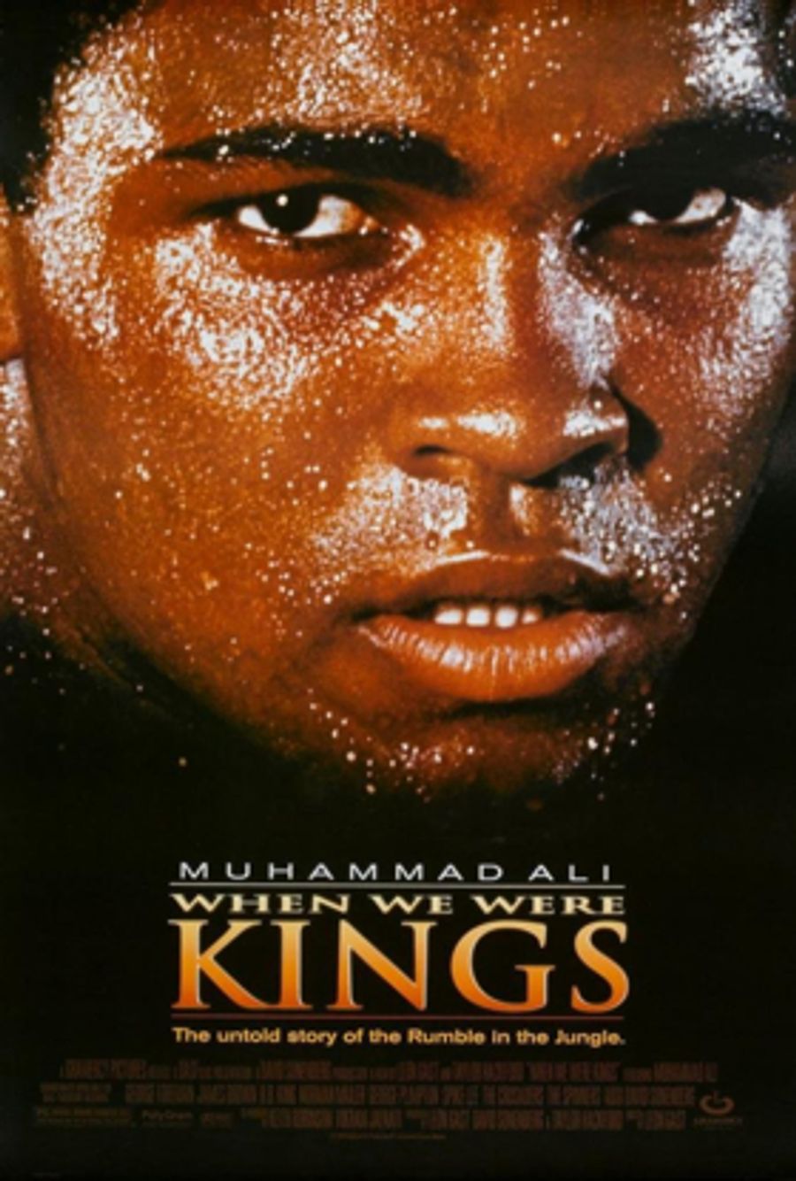 David Sonenberg Works to Develop Musical Adaptation of WHEN WE WERE KINGS  Image