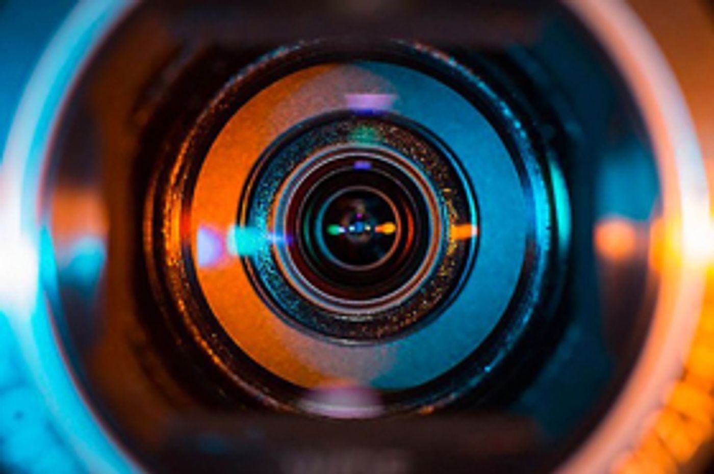 EXPOSURE Opens At The LIC Arts Open Gallery  Image