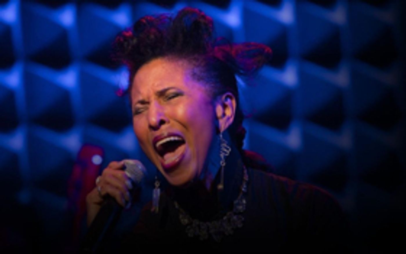 PARALLEL LIVES Premieres at Joe's Pub  Image