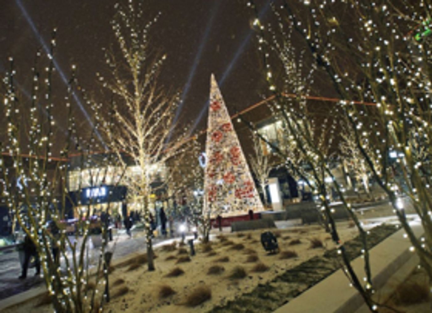 Chicago Kicks off Holiday Season with Tree Lighting at NEWCITY This Weekend Image