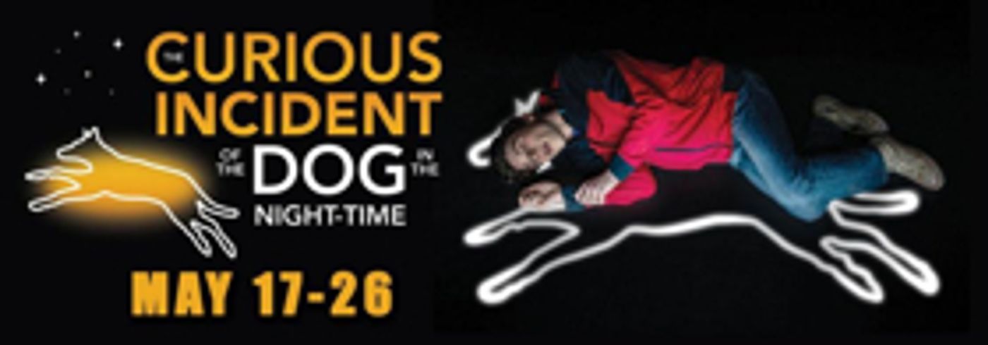 Theatre Tulsa Next Stage Presents THE CURIOUS INCIDENT OF THE DOG IN THE NIGHT-TIME  Image