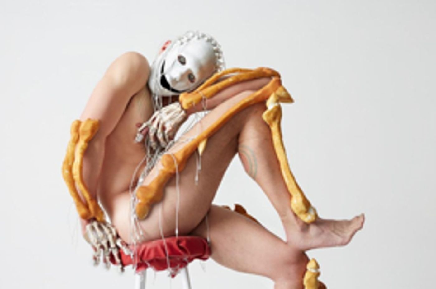 A Hallucinogenic Exploration Of The Relations Between Human, Animal, Machine And Spirit  Image