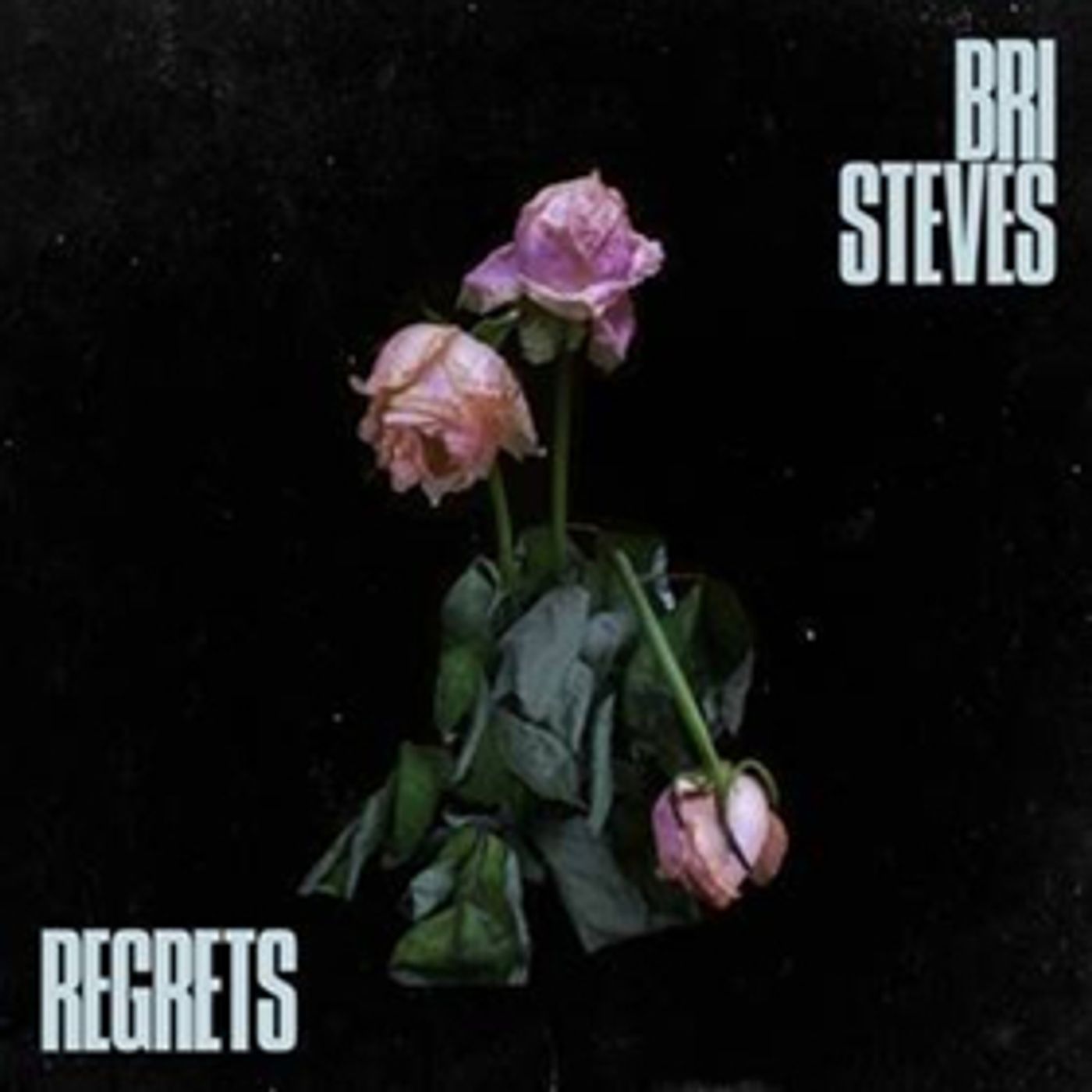 Bri Steves Releases New Track And Video For REGRETS Bri Steves Releases New Track And Video For REGRETS Image