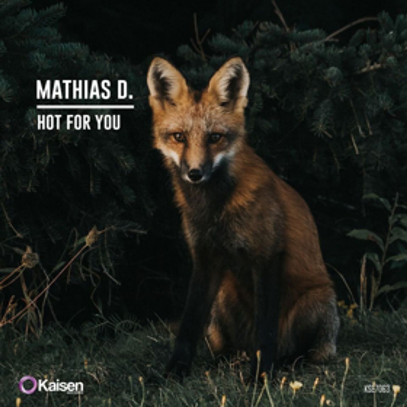 Mathias D. Returns to Kaisen Records with 'Hot For You'  Image