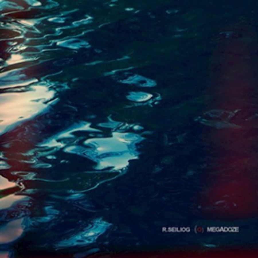 R. Seiliog Releases His New Album MEGADOZE Out 11/30 On Turnstile Music Image