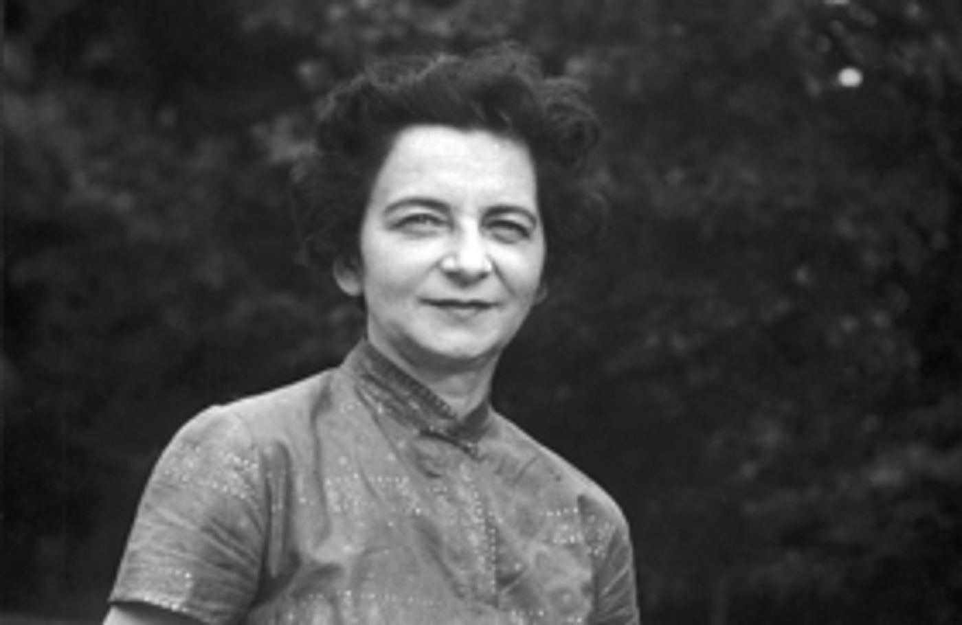 American Symphony Orchestra to Perform TRIUMPH OF ART at Alice Tully Hall  Image