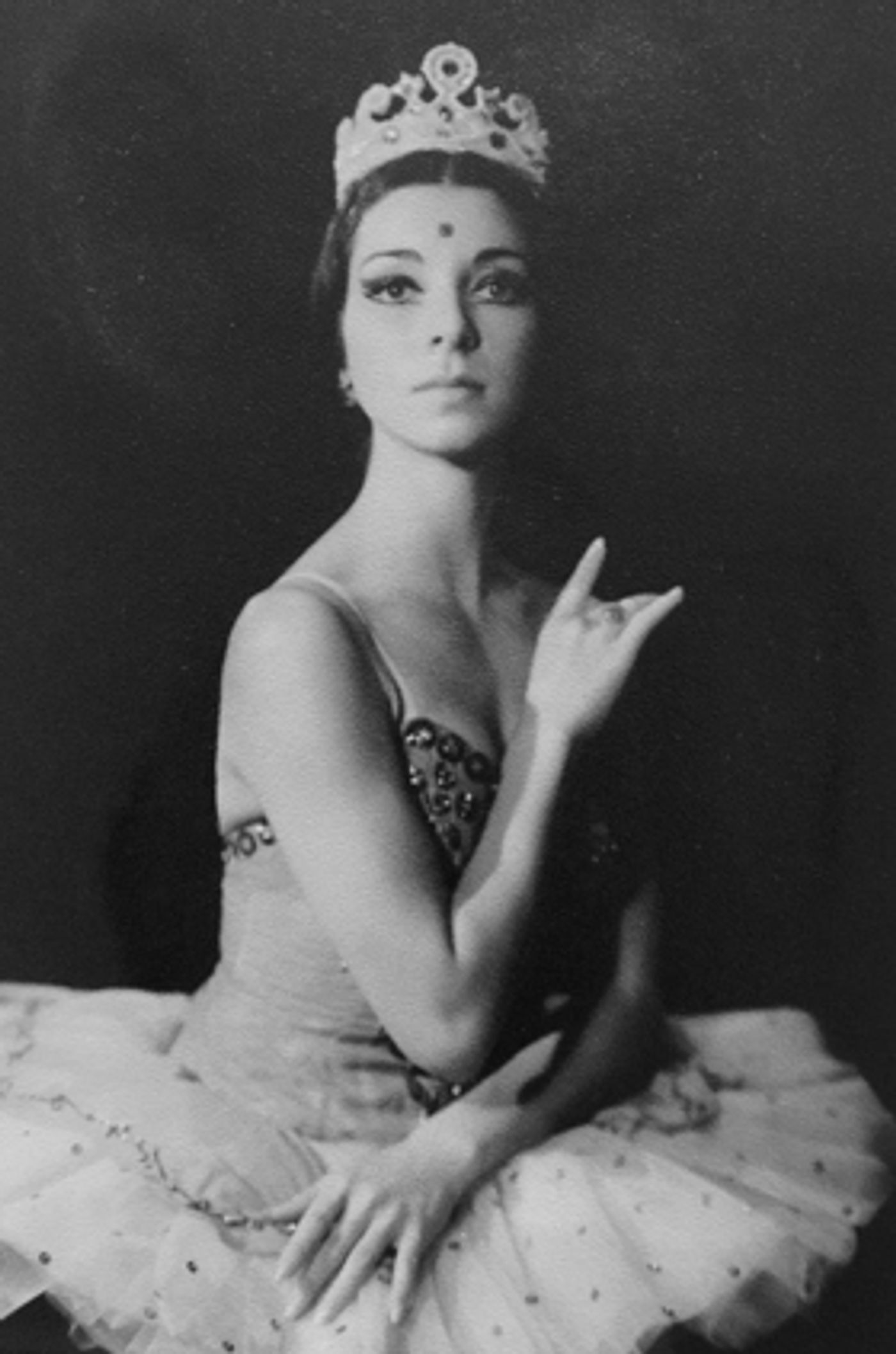 Review: From The Horse's Mouth Educates and Inspires  Image