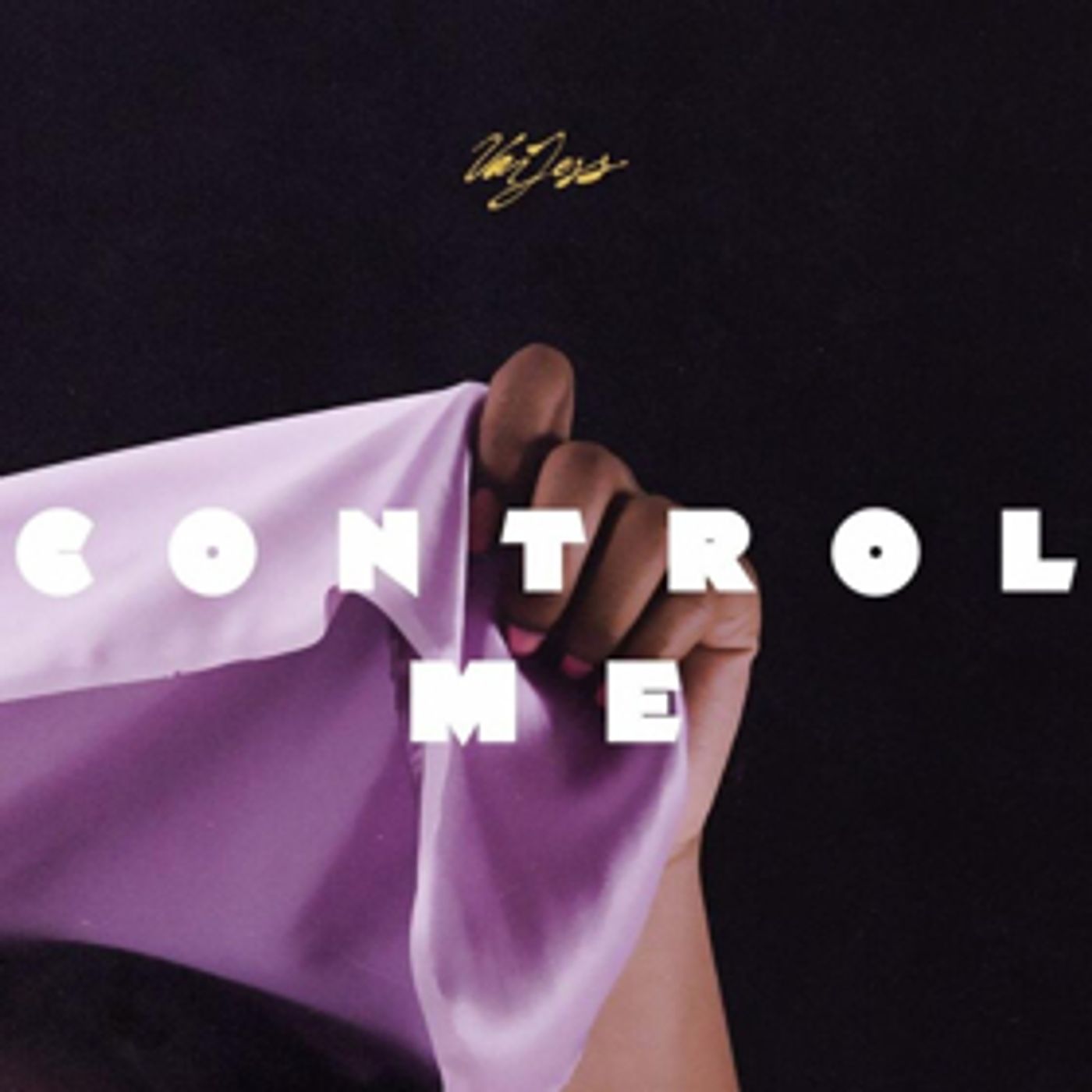 VanJess Release New Single CONTROL ME From Upcoming Album SILK CANVAS  Image