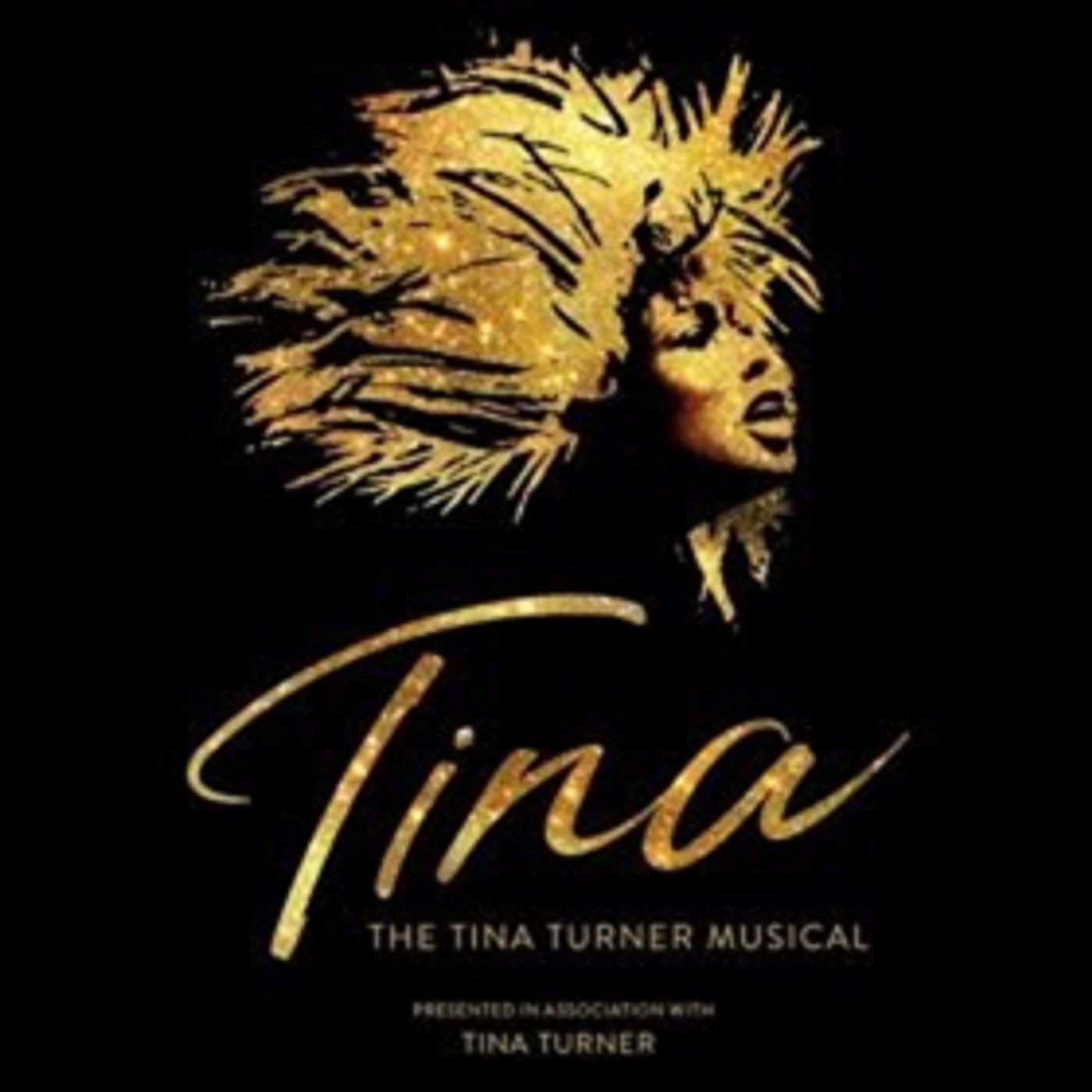 Additional Casting Announced for Tina Turner Musical TINA! Additional Casting Announced for Tina Turner Musical TINA! Image
