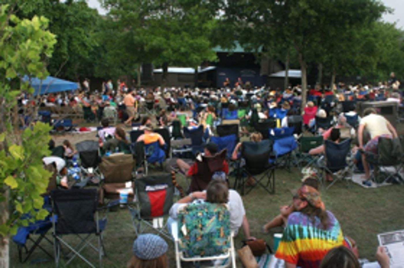 Interview: Dalis Allen - Producer of the Kerrville Folk Festival  Image