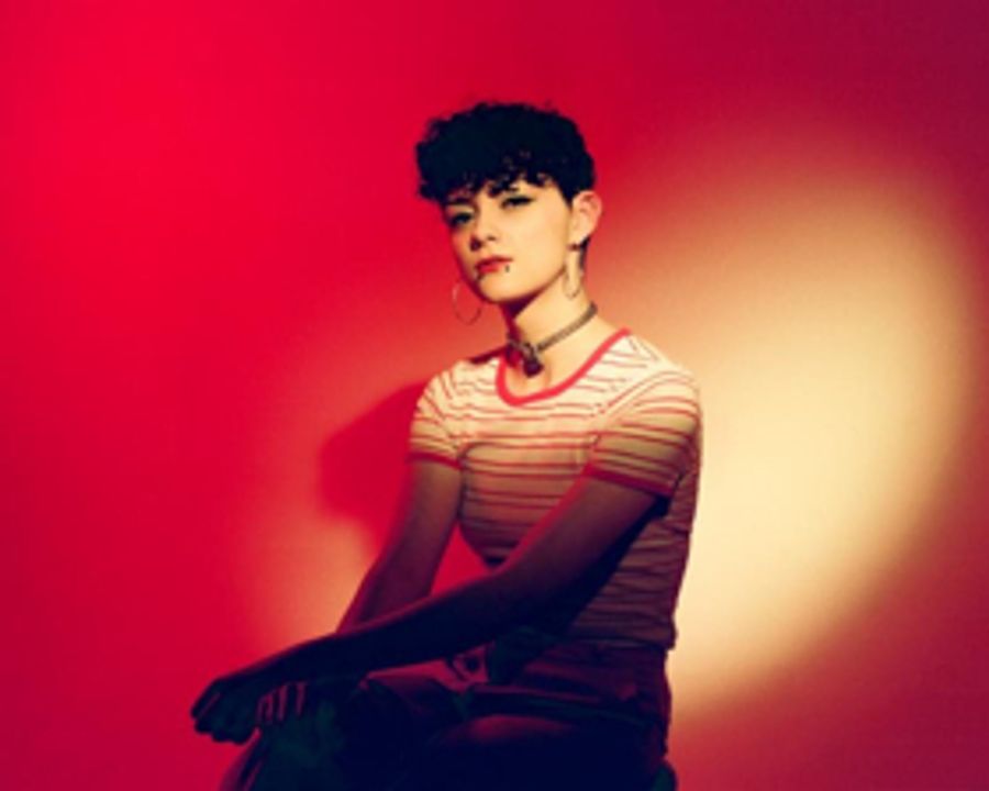 Jealous of the Birds Release Acoustic Edition of PLASTIC SKELETONS Image