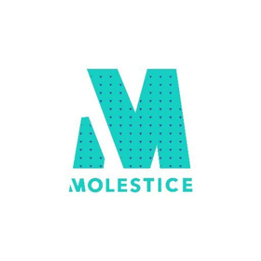 Mole Street & Mole Street Artists Celebrate Record-Breaking Turnout at 2018 Molestice Festival Image