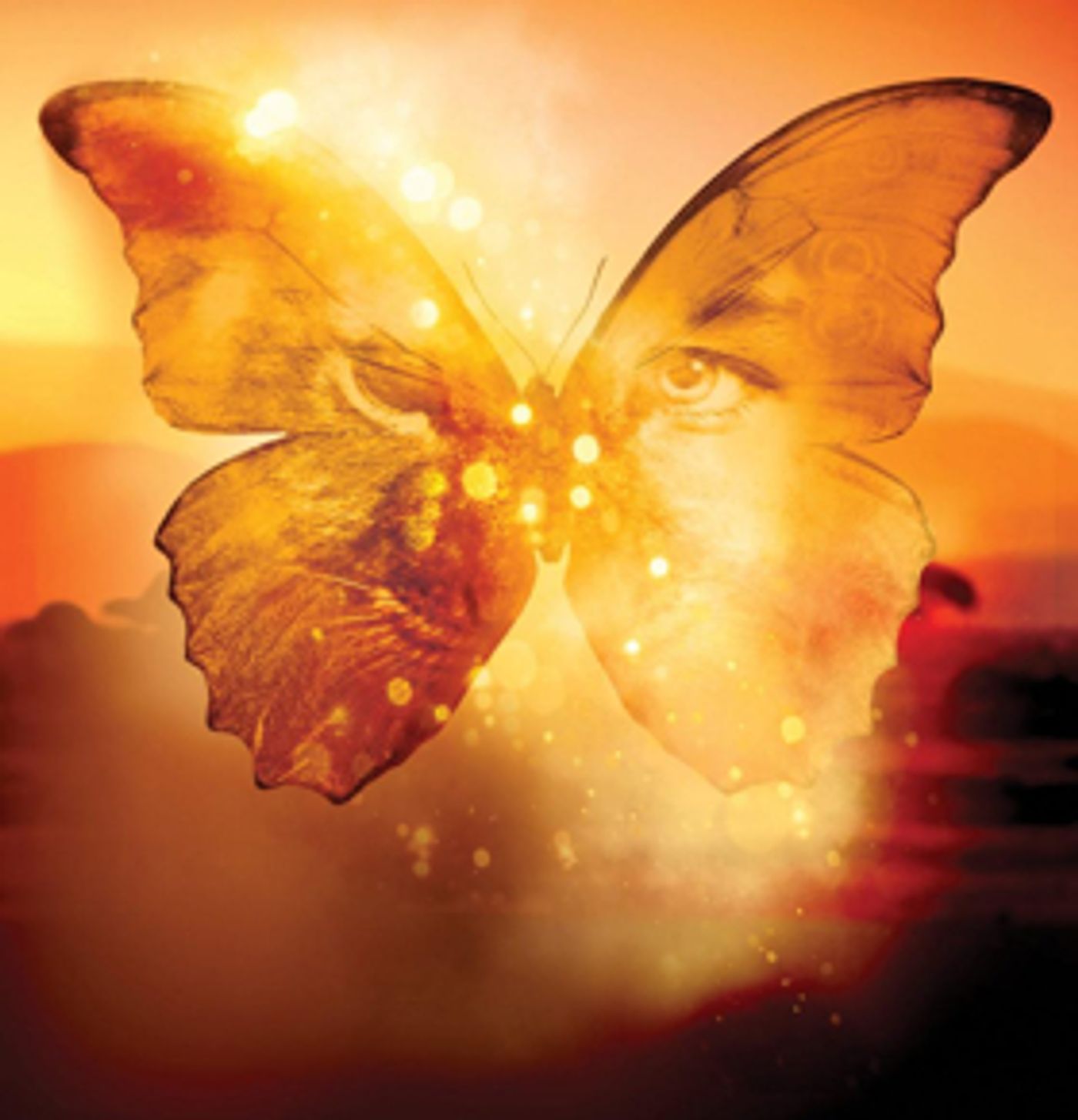 Full Casting Announced For The Barn Theatre Production Of THE BUTTERFLY LION Full Casting Announced For The Barn Theatre Production Of THE BUTTERFLY LION Image