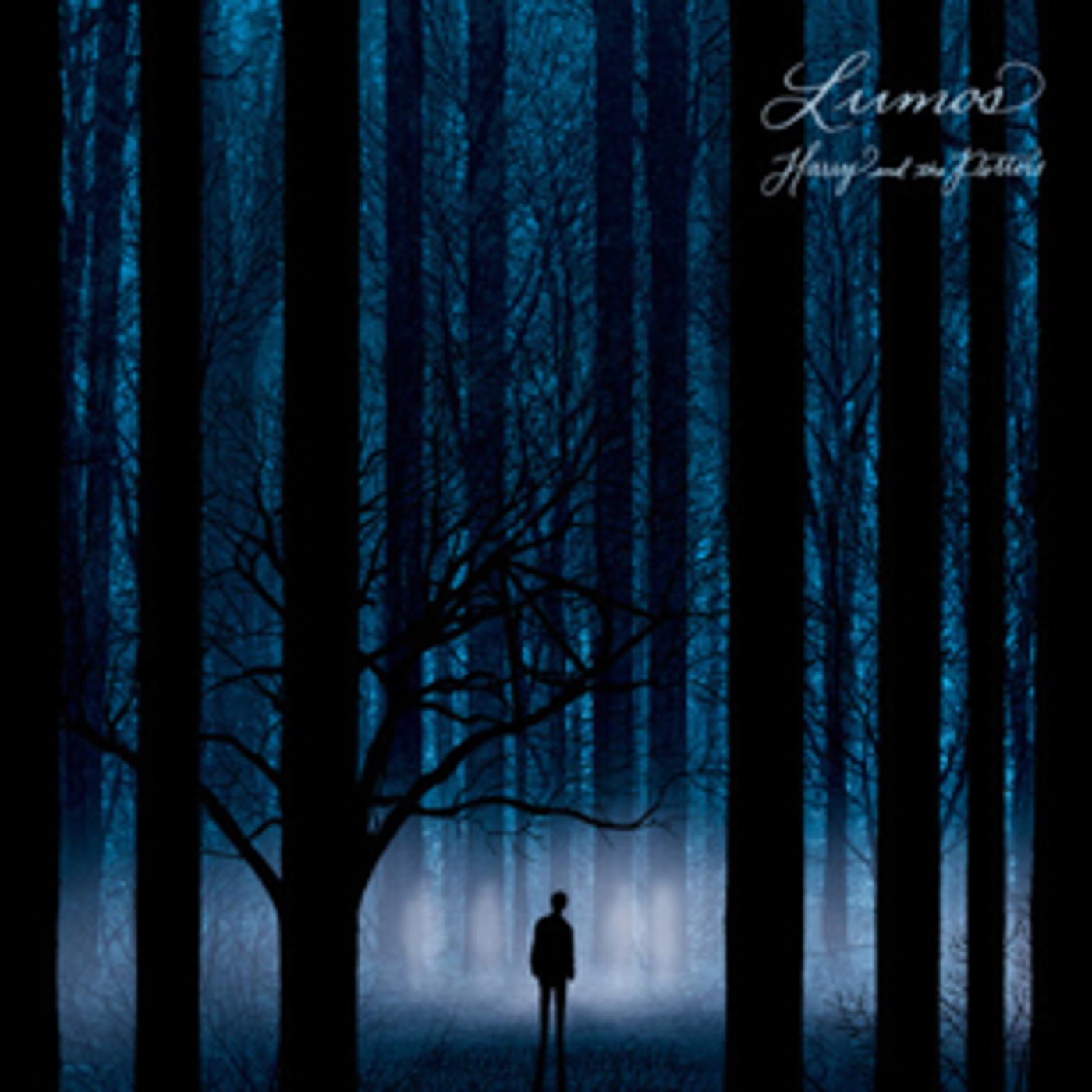 Harry and the Potters Announce Their First New Album in 13 Years  Image