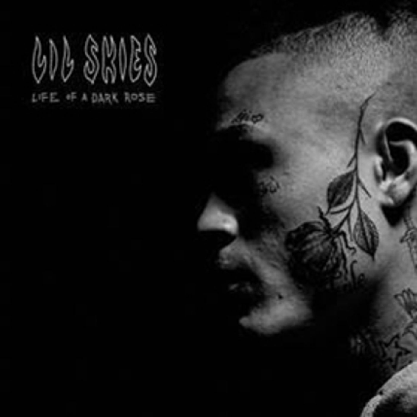 Lil Skies 'Life Of A Dark Rosee' Mixtape Out Today Lil Skies 'Life Of A Dark Rosee' Mixtape Out Today Image