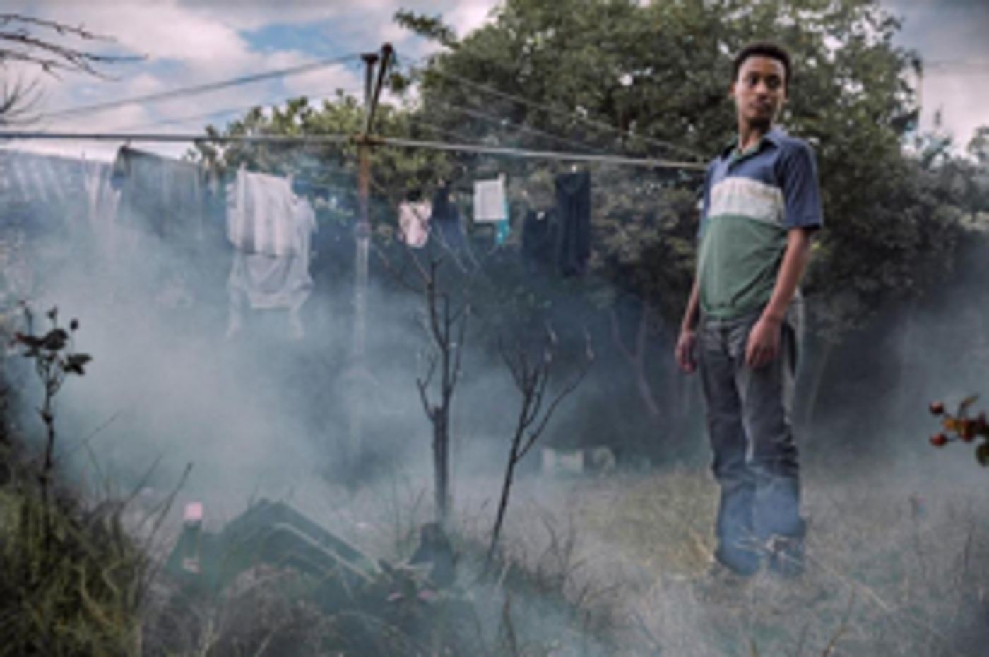 Charles Williams' ALL THESE CREATURES Selected for Toronto International Film Festival Charles Williams' ALL THESE CREATURES Selected for Toronto International Film Festival Image