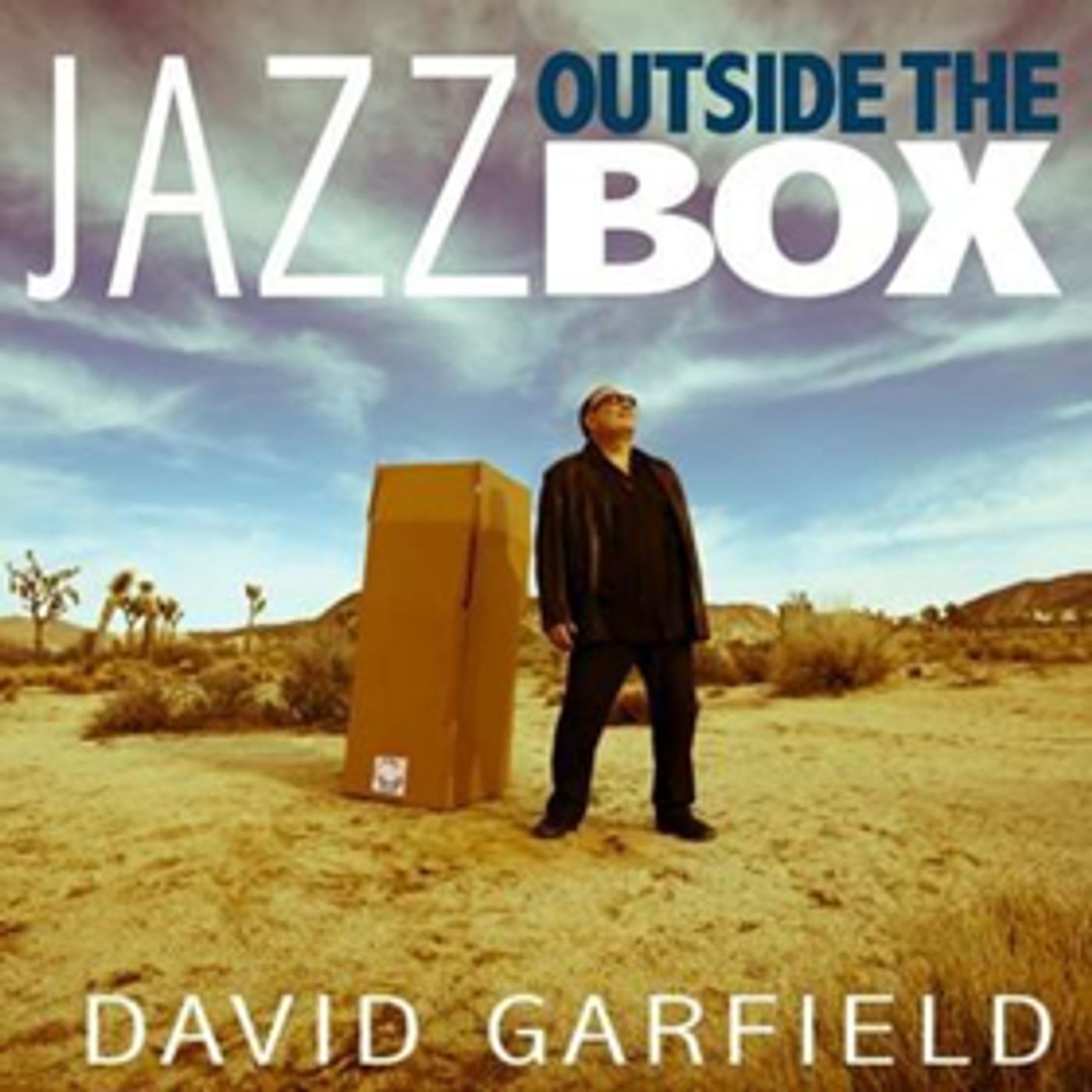Keyboardist David Garfield Releases The First Volume of His OUTSIDE THE BOX Series 3/23  Image