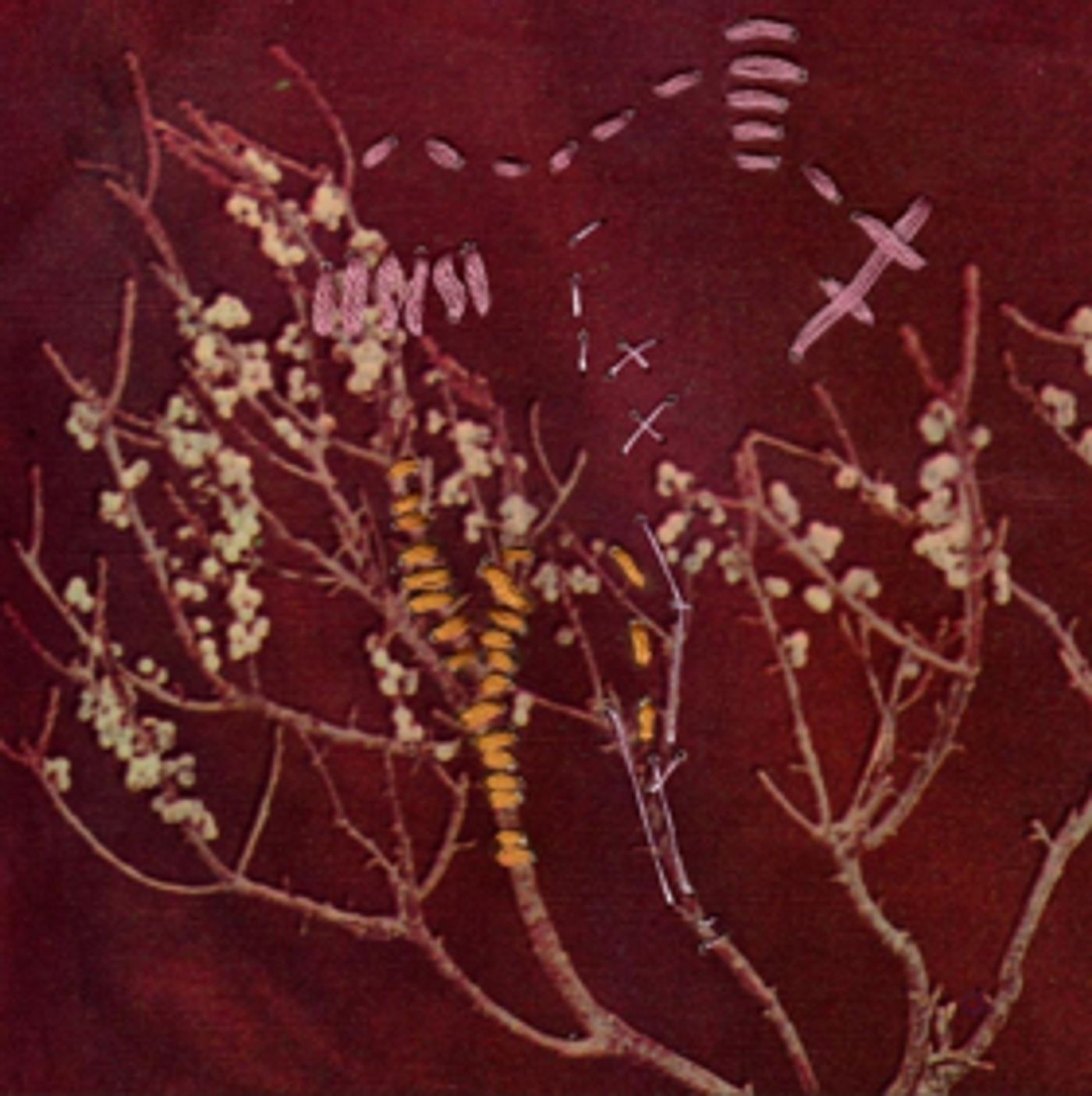 Indie-Pop Duos EXES & JOME Announce Collaborative EP Out 3/8 + Share “Stay Still” w/ Atwood Mag Indie-Pop Duos EXES & JOME Announce Collaborative EP Out 3/8 + Share “Stay Still” w/ Atwood Mag Image