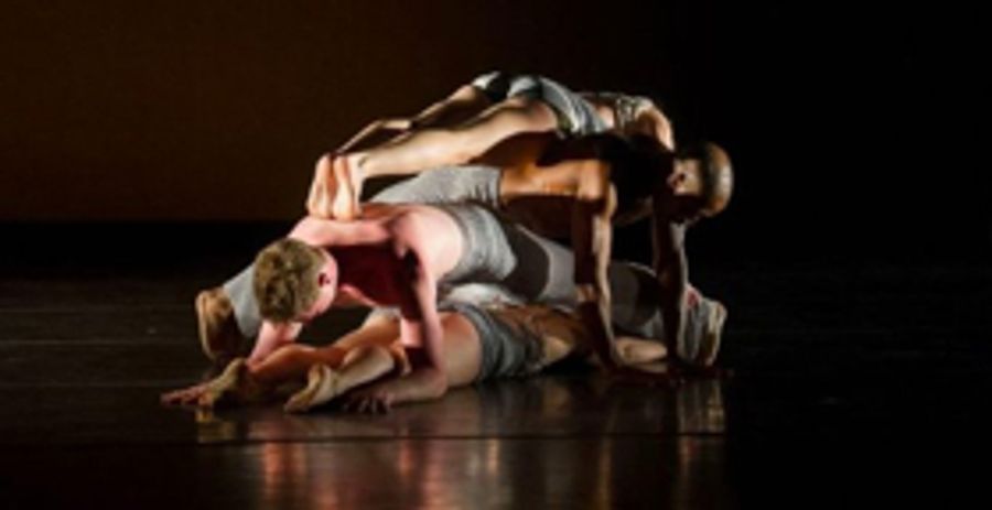 Carolyn Dorfman Dance Comes to NJPAC For Gala Benefit And Performance Image