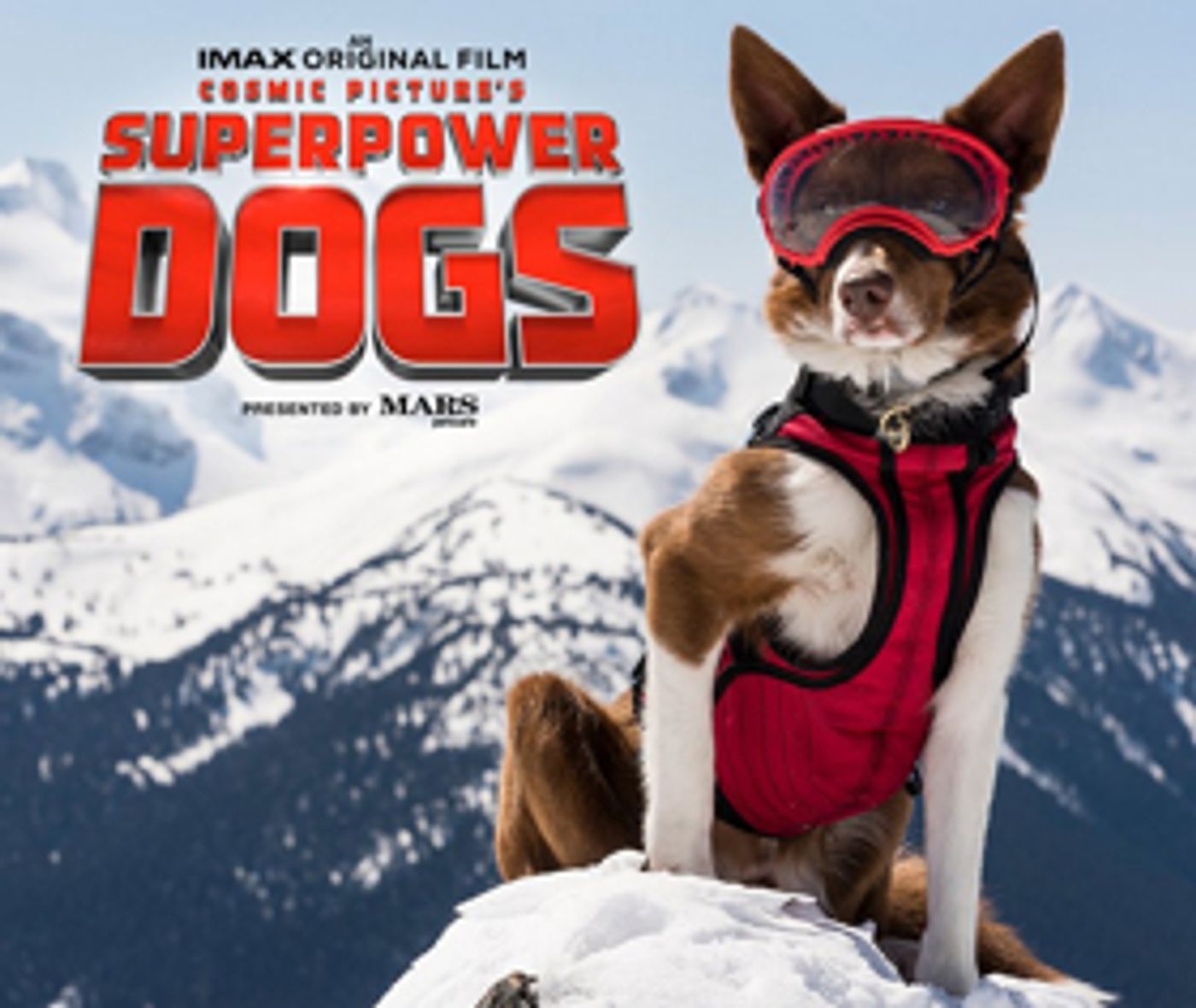 New IMAX Documentary SUPERPOWER DOGS to Open at The California Science Center  Image