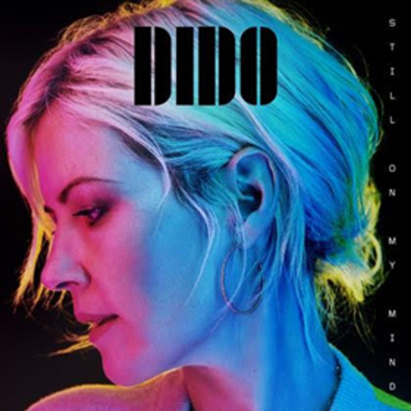 Dido Shares Acoustic Performance Video Of THANK YOU  Image