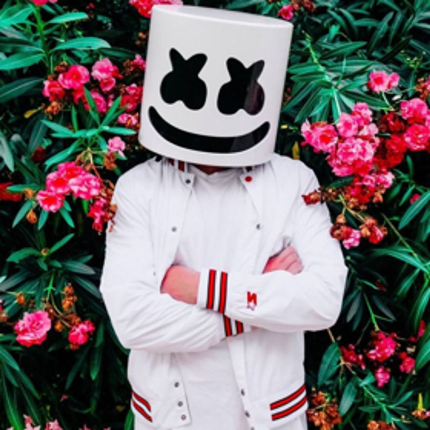 Marshmello to Visit Empire State Building  Image