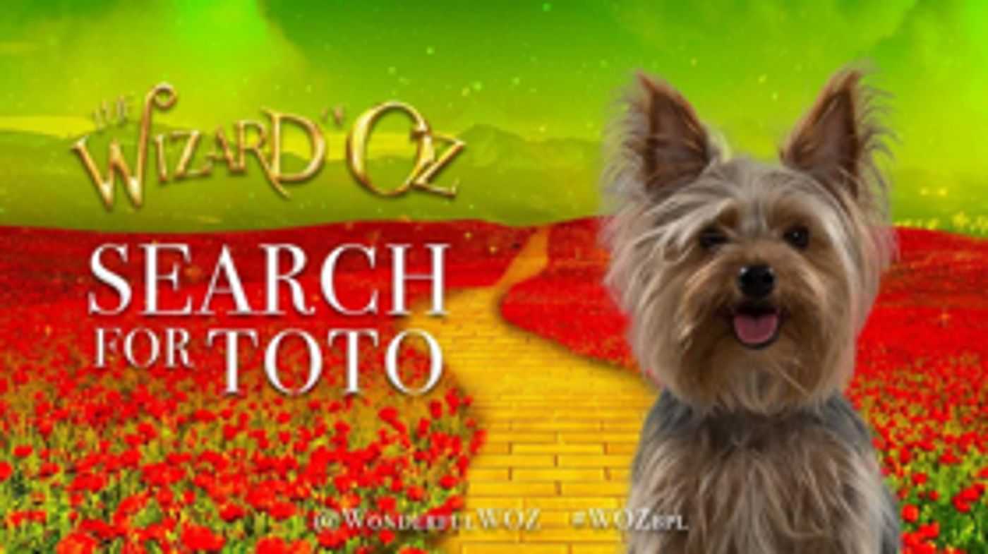 Selladoor Productions is on the Search For Toto  Image