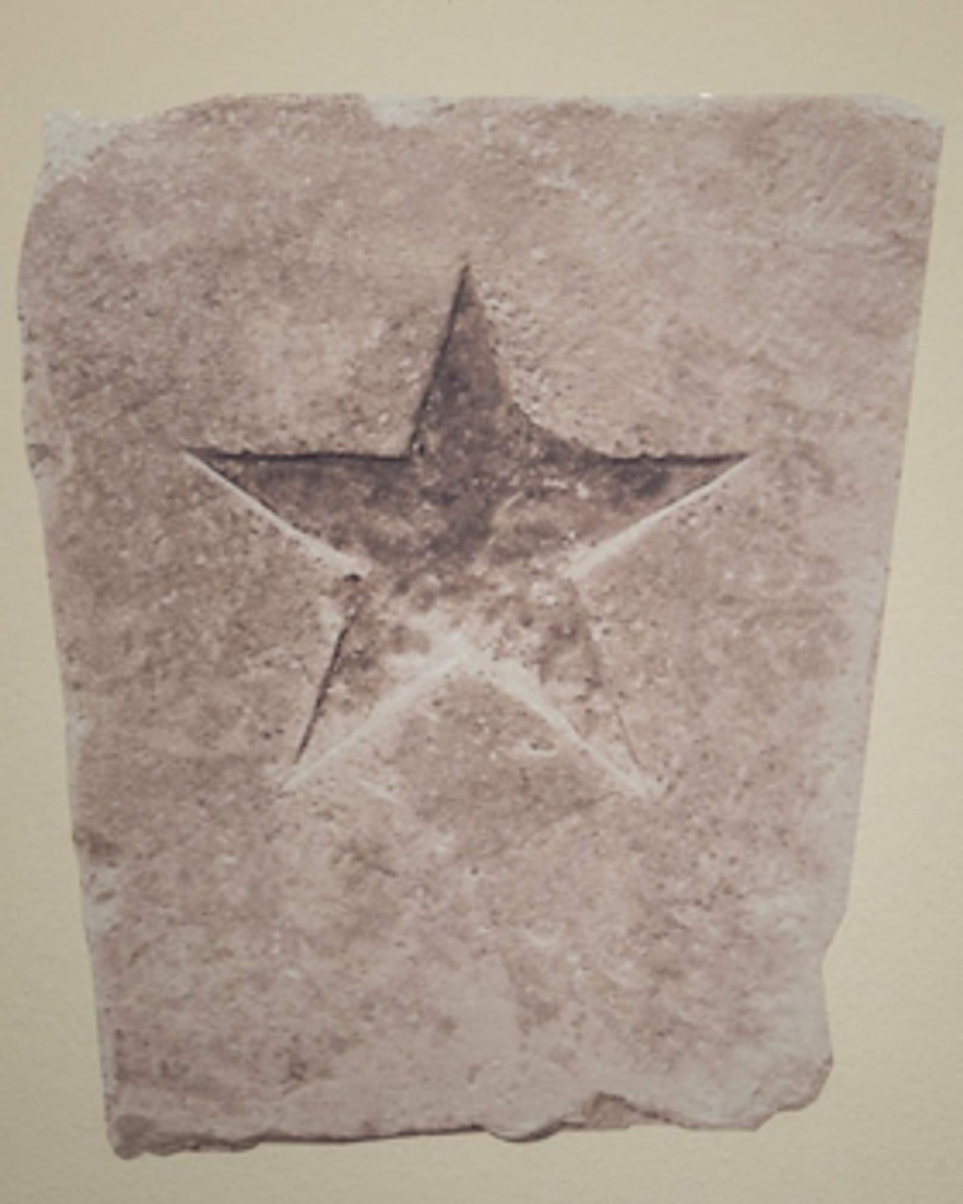 Austin Film Festival Receives Grant Program Funding from TSLAC  Image