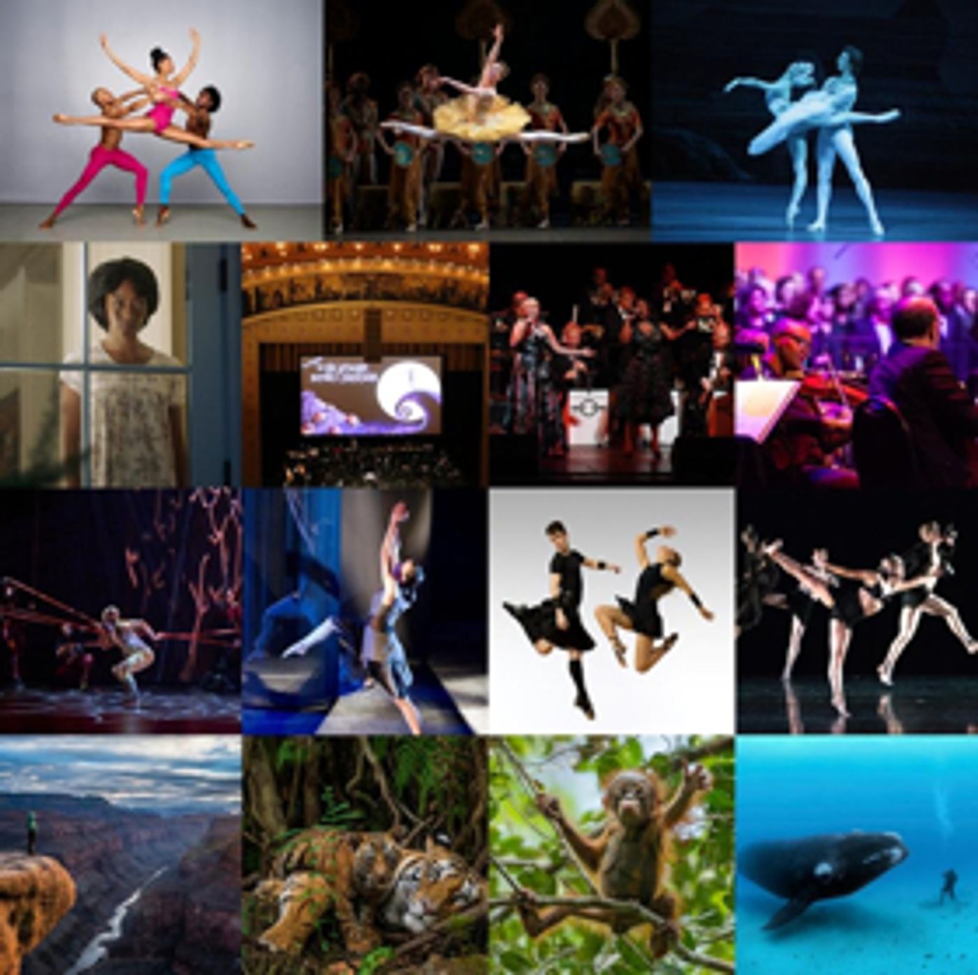 Auditorium Theatre Announces 2019-20 Season Auditorium Theatre Announces 2019-20 Season Image