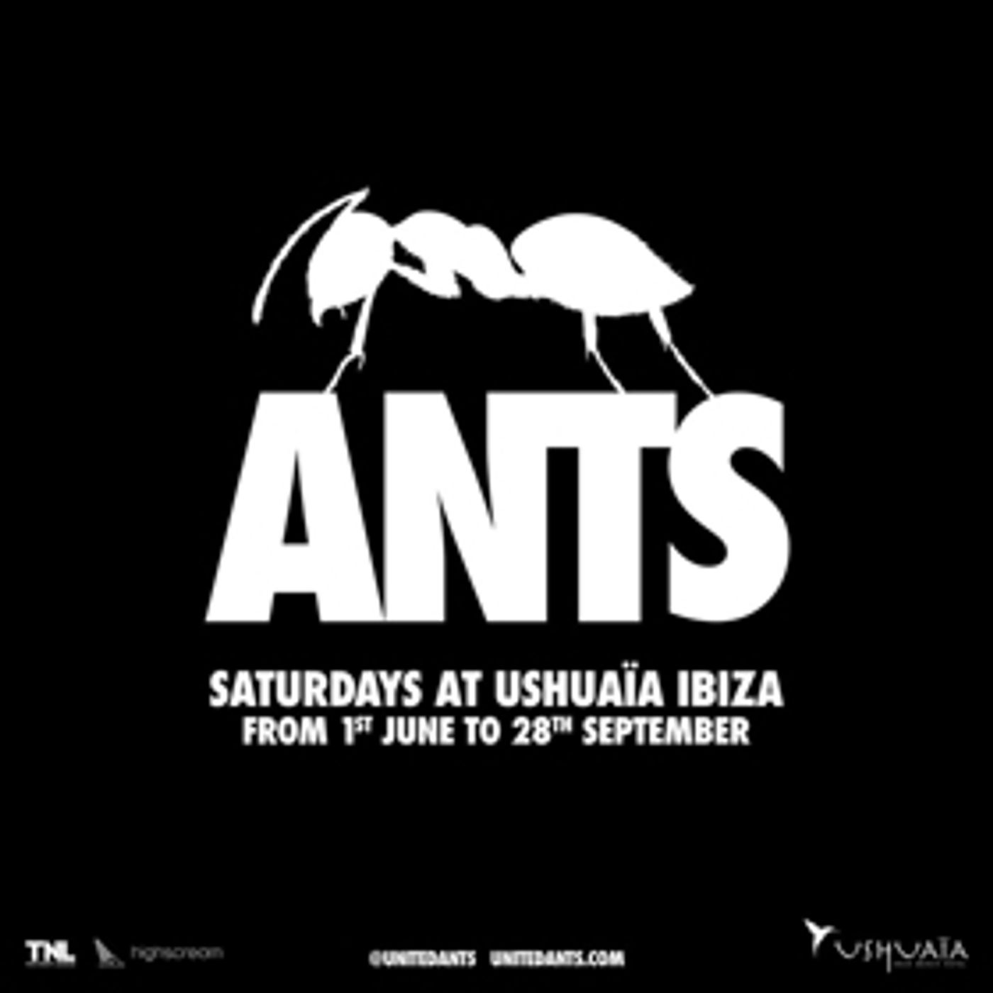 Ants Returns To Ushuaïa Ibiza For 7th Consecutive Season On The White Isle Image