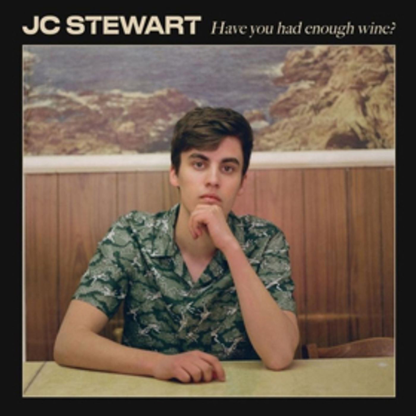 Irish Singer-Songwriter JC Stewart Shares New Single HAVE YOU HAD ENOUGH WINE?  Image
