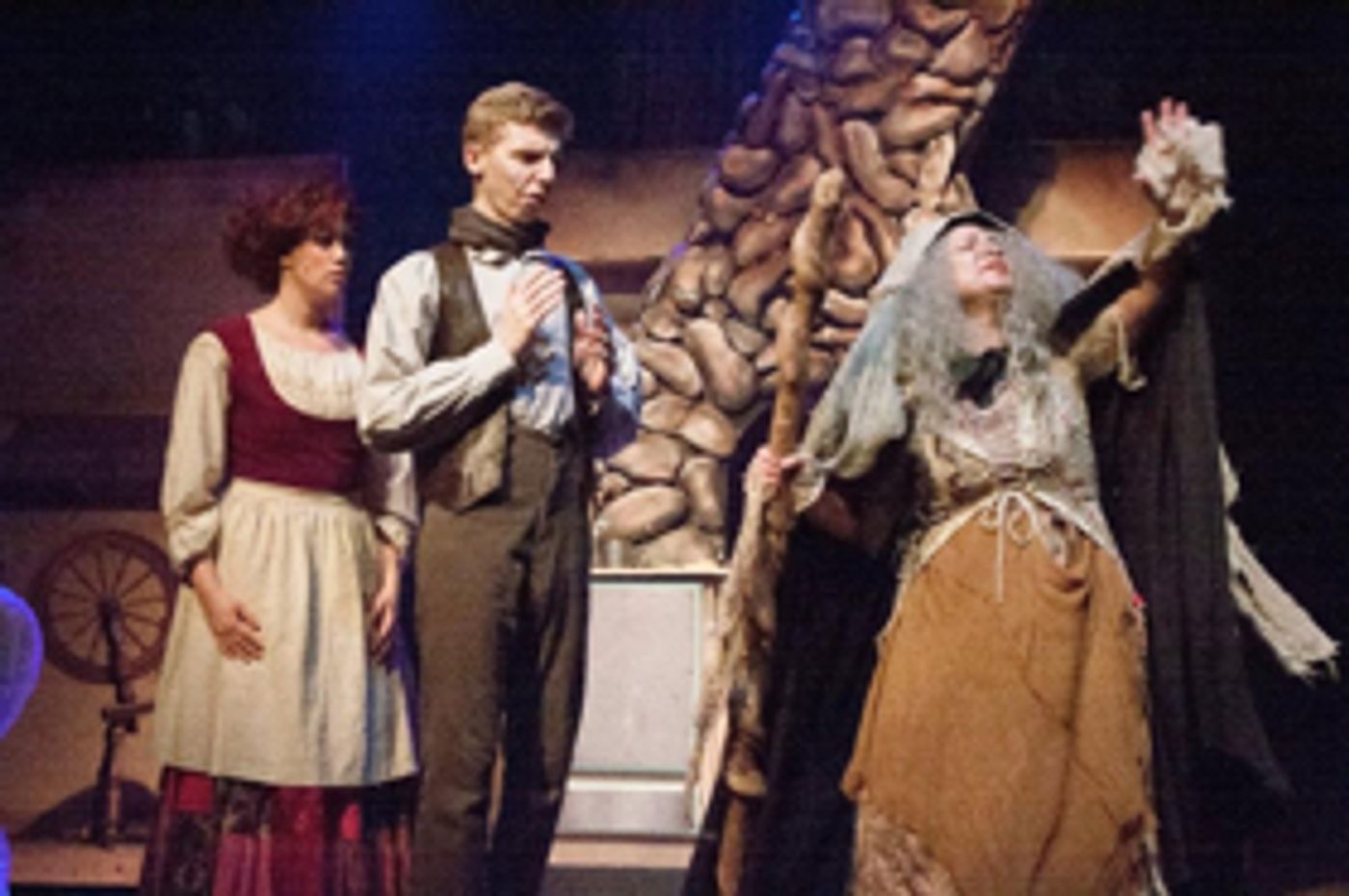 Review: Go INTO THE WOODS at the Belmont Theatre  Image