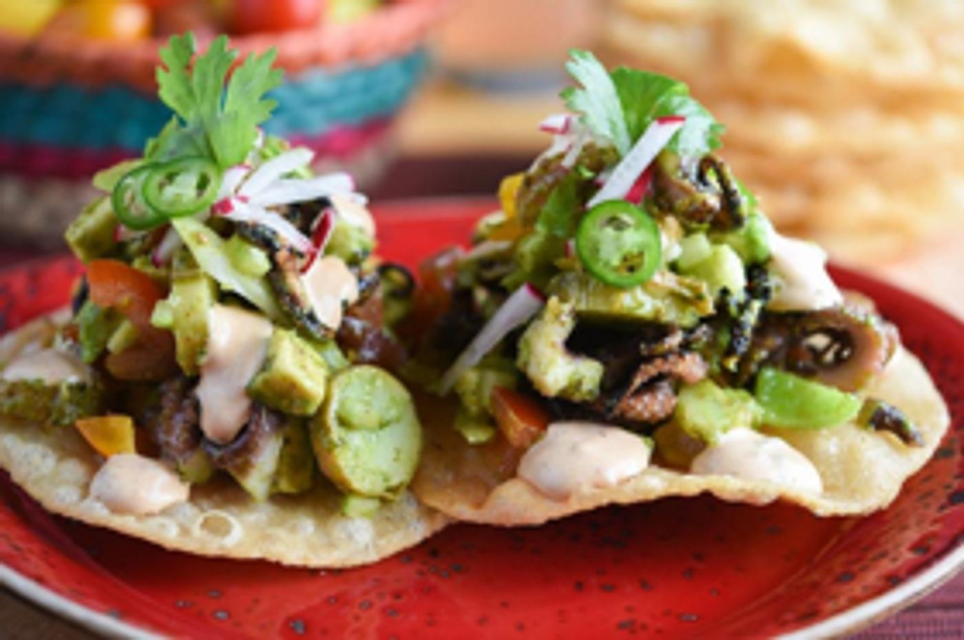 DOS CAMINOS Debuts Selection of New Menu Items  Image