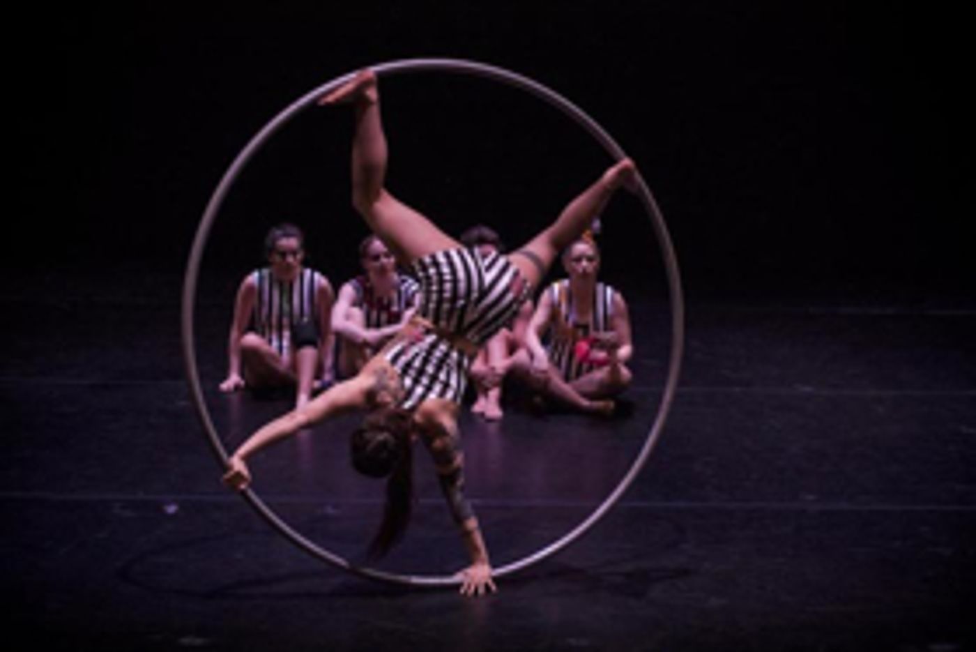 Guest Blog: Ellie Dubois On Female Circus Performers and NO SHOW  Image