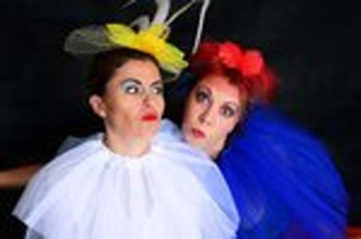 SASOLBURG COMMON 'BIRDS' OF SOUTH AFRICA Comes to The Drama Factory SASOLBURG COMMON 'BIRDS' OF SOUTH AFRICA Comes to The Drama Factory Image