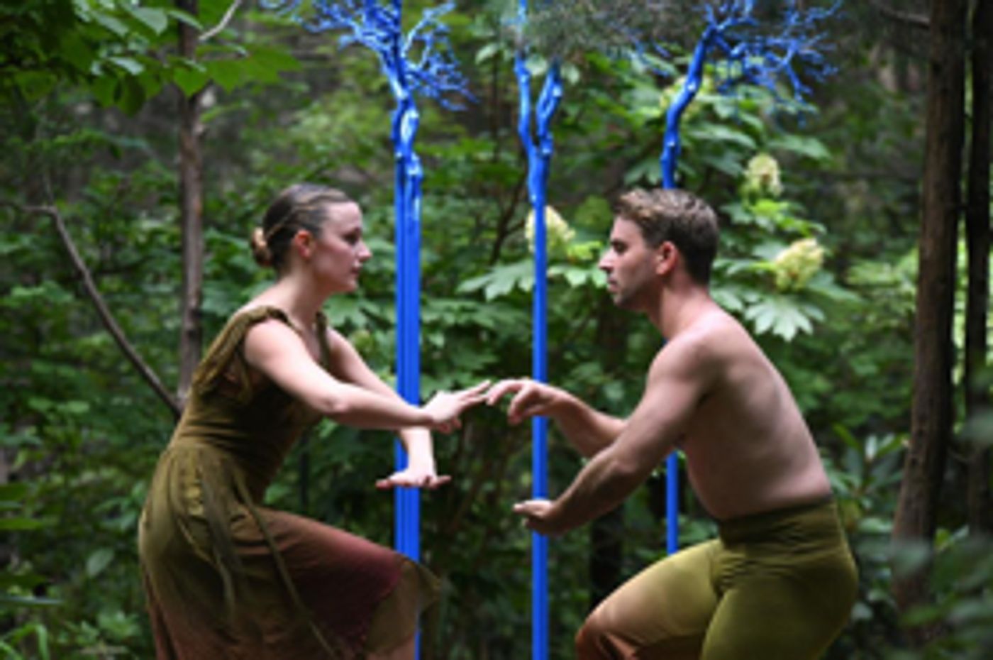 Amanda Selwyn Dance Theatre Presents GREEN AFTERNOON VII  Image
