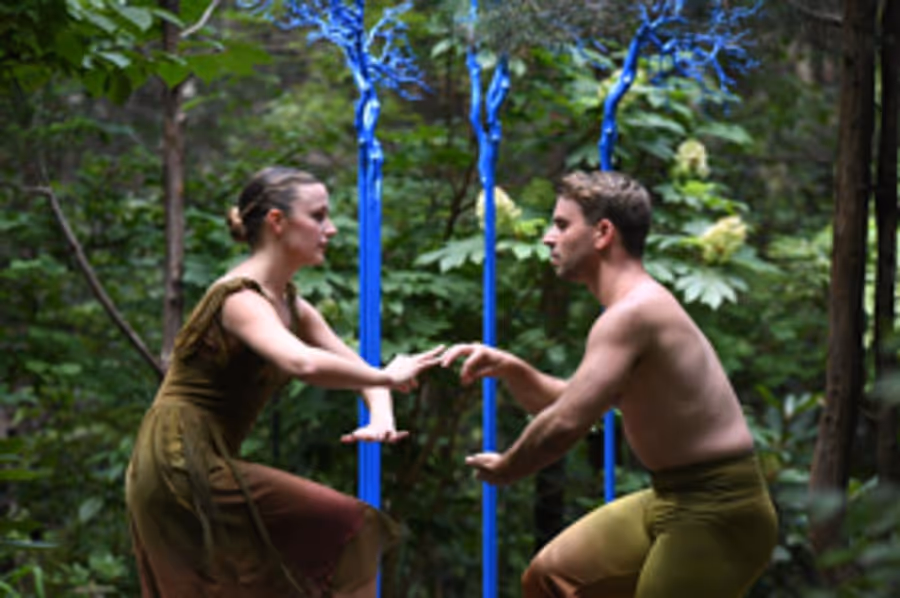 Amanda Selwyn Dance Theatre Presents GREEN AFTERNOON VII Image