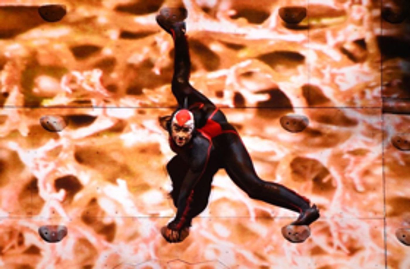 Interview: Alanna Baker Talks Cirque du Soleil's OVO  Image