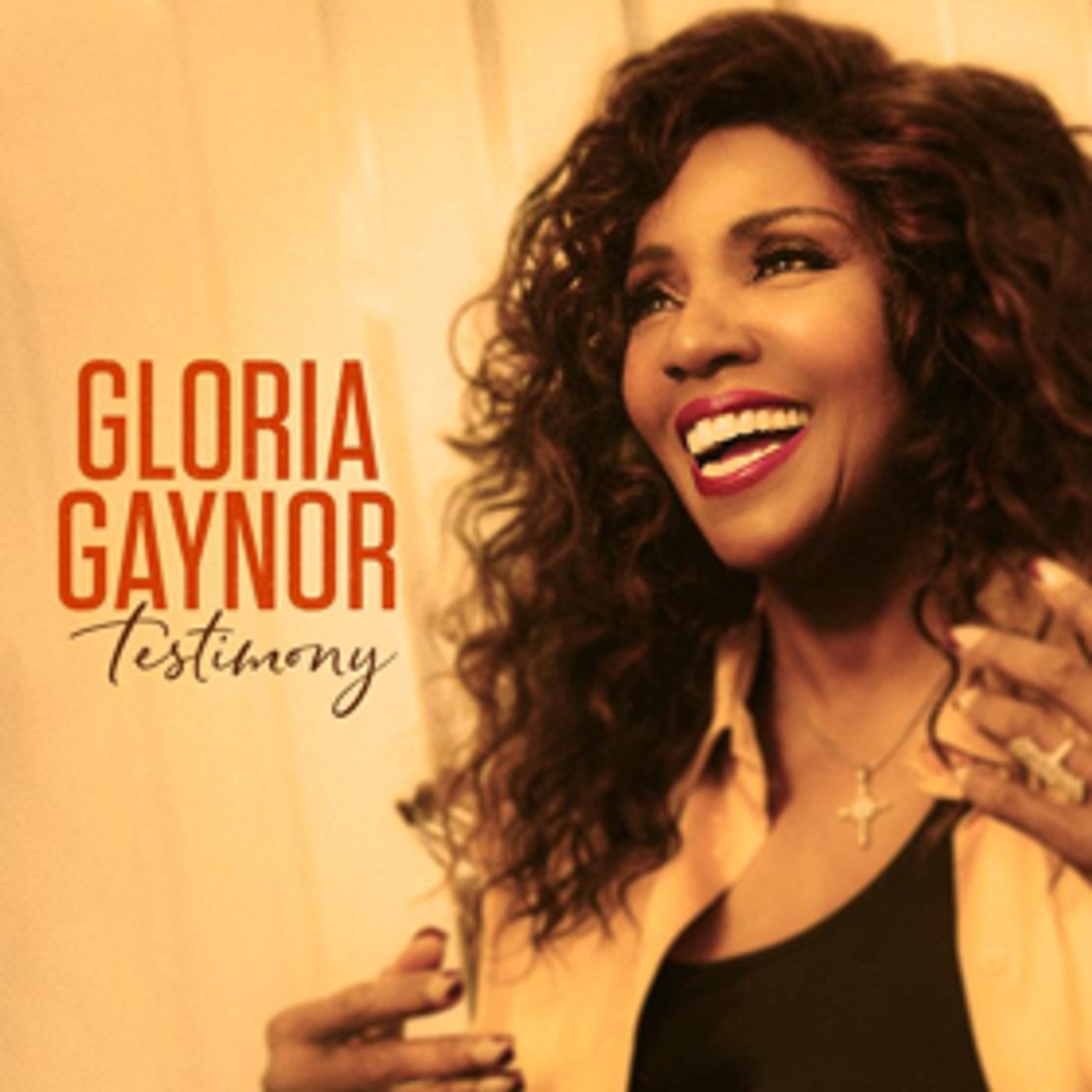 Gloria Gaynor Releases New Single 'Joy Comes In The Morning'  Image