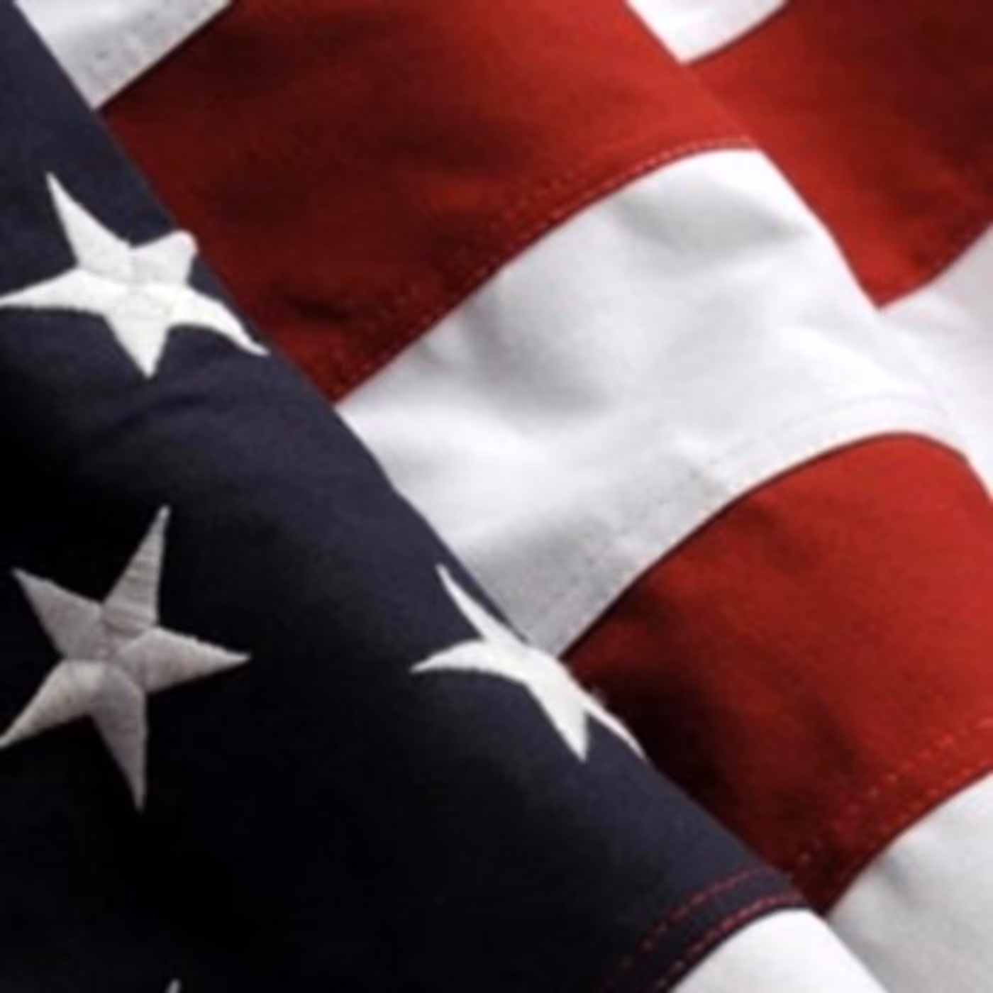 The St. Louis Symphony Orchestra Will Honor Gold Star Families At Veteran's Day Concert Image