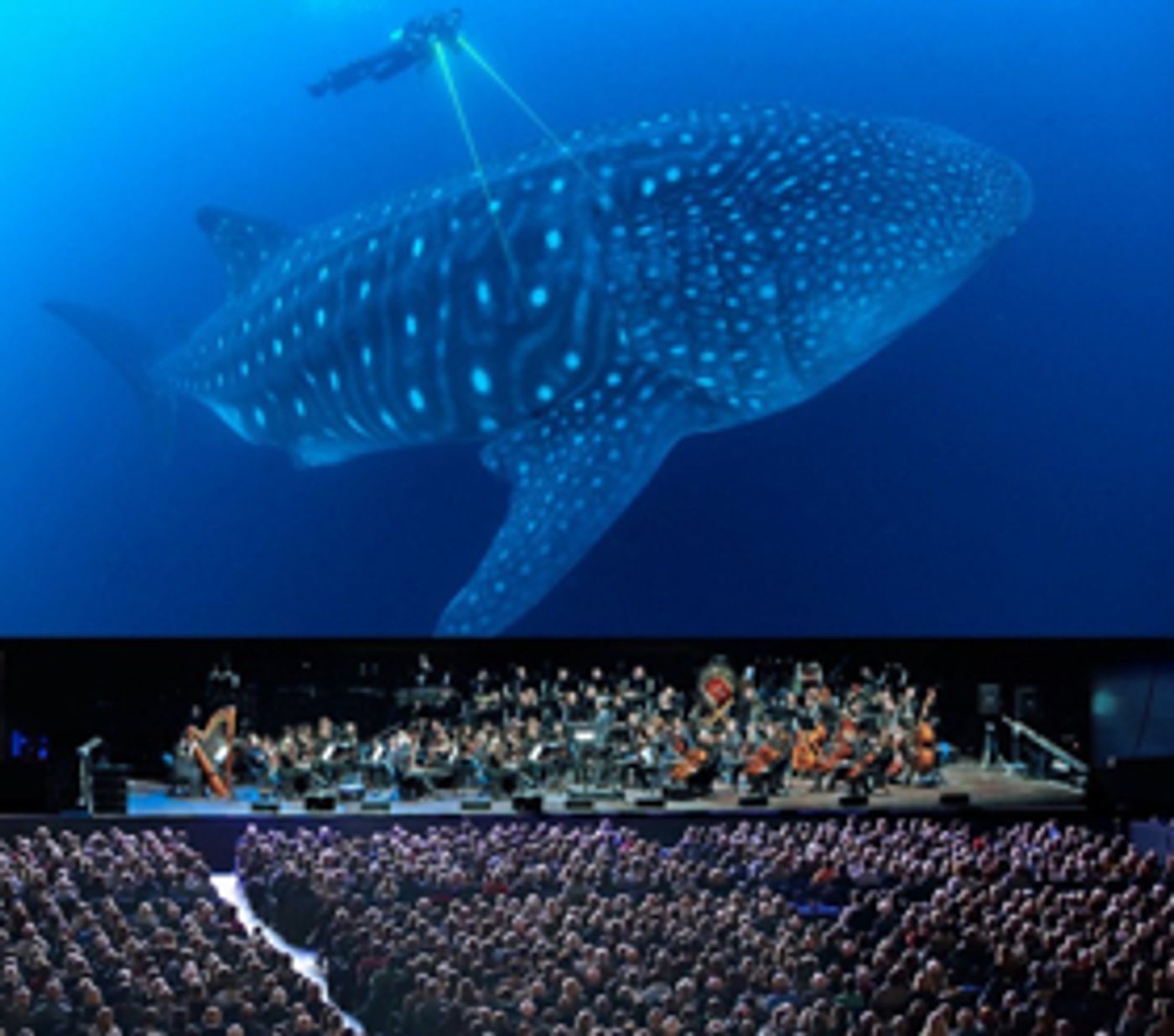 The City of Prague Philharmonic Orchestra to Provide Live Accompaniment to BLUE PLANET II - LIVE IN CONCERT The City of Prague Philharmonic Orchestra to Provide Live Accompaniment to BLUE PLANET II - LIVE IN CONCERT Image