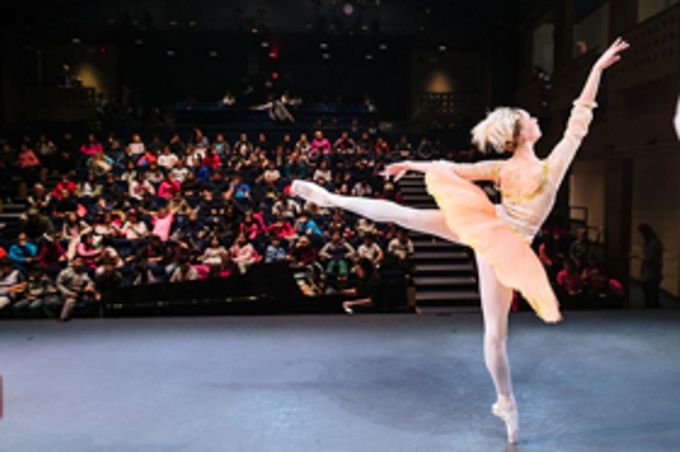 YOU Dance Livestreams Reaches a Record-Breaking 24,000 Students This Season  Image
