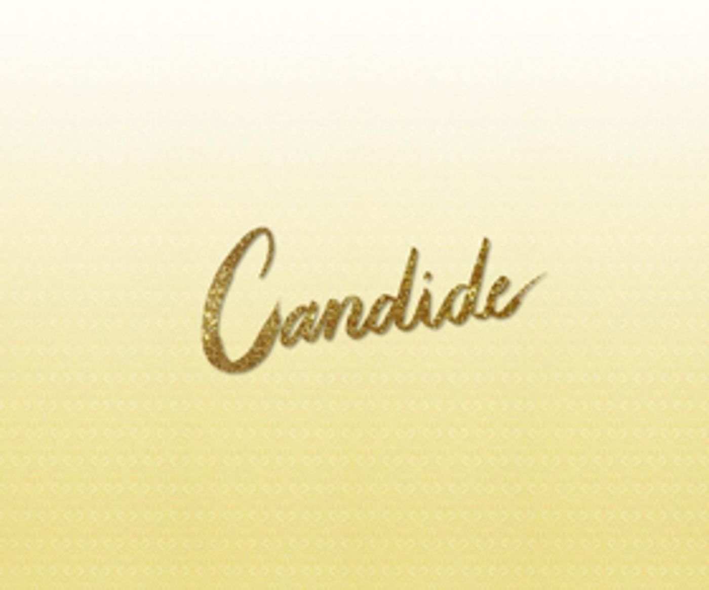 Ryan Silverman and Bryonha Marie Parham Join Candide at Carnegie Hall  Image