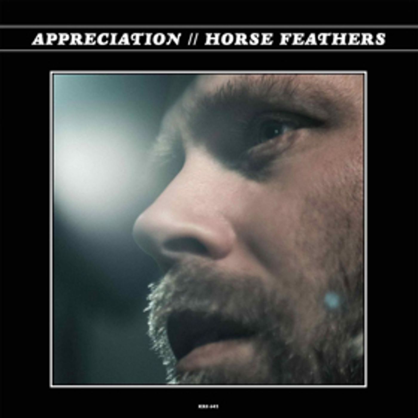 Horse Feathers Release New Track from Upcoming Album APPRECIATION  Image